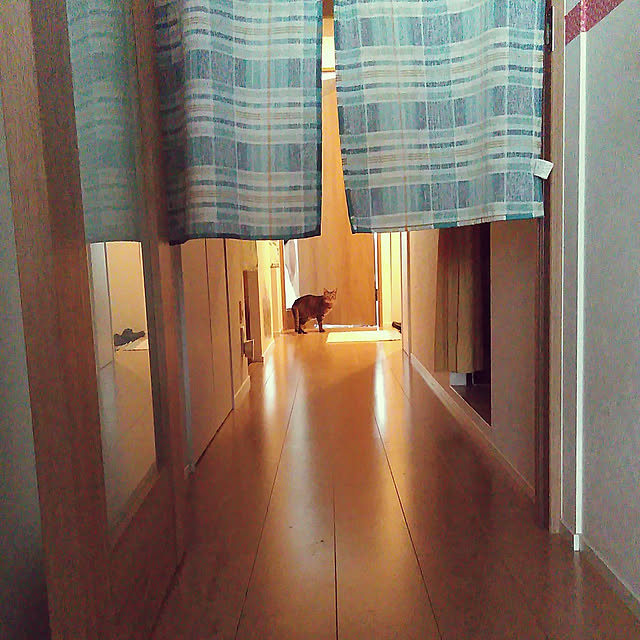 futukoさんの実例写真