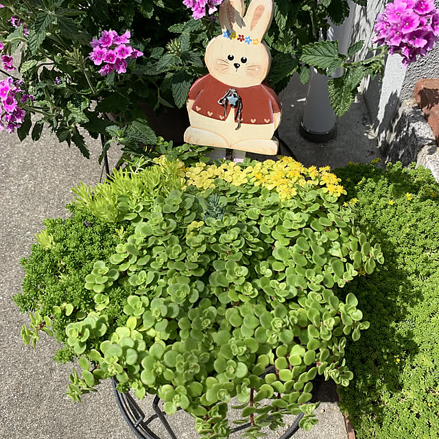 hinaさんの実例写真