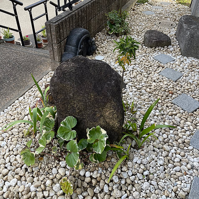 kikiさんの部屋