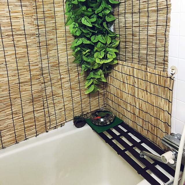 kaitomari02080708さんの実例写真