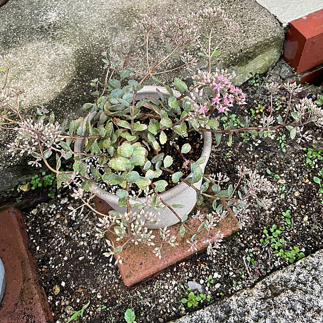 shin0719さんの部屋