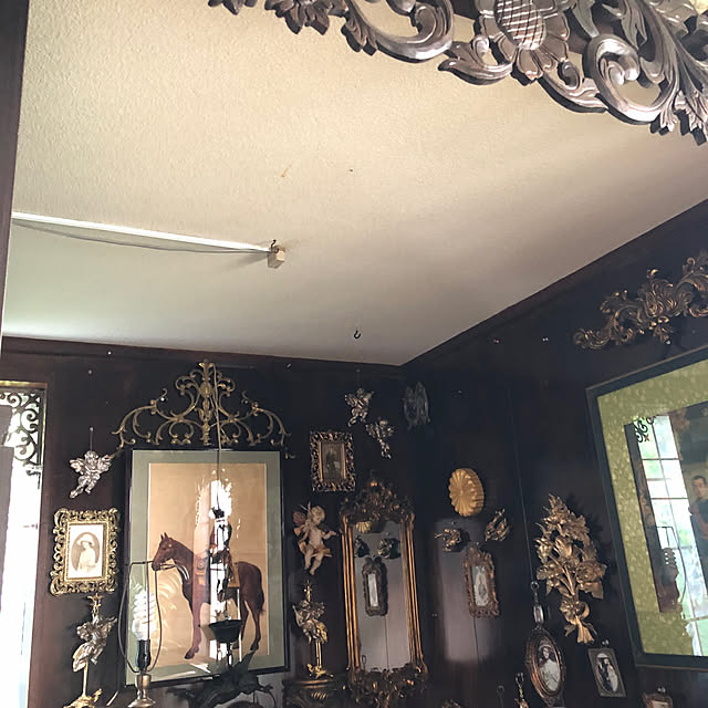 Toruさんの部屋