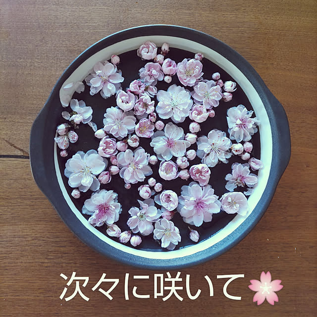 YUKOさんの実例写真