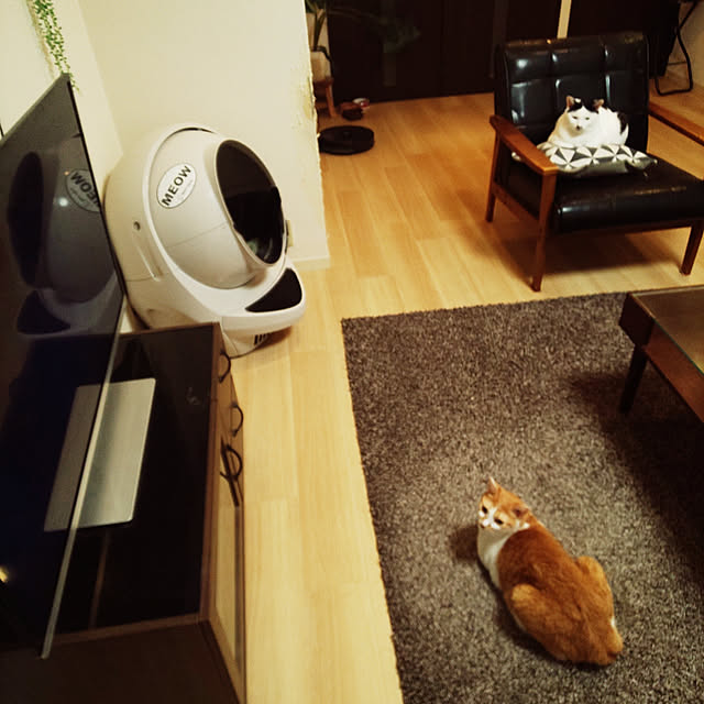 noguchiken0102さんの実例写真