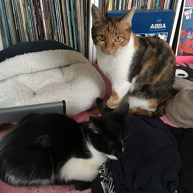 miyabiさんの実例写真
