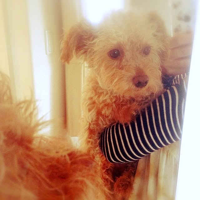 yさんの実例写真