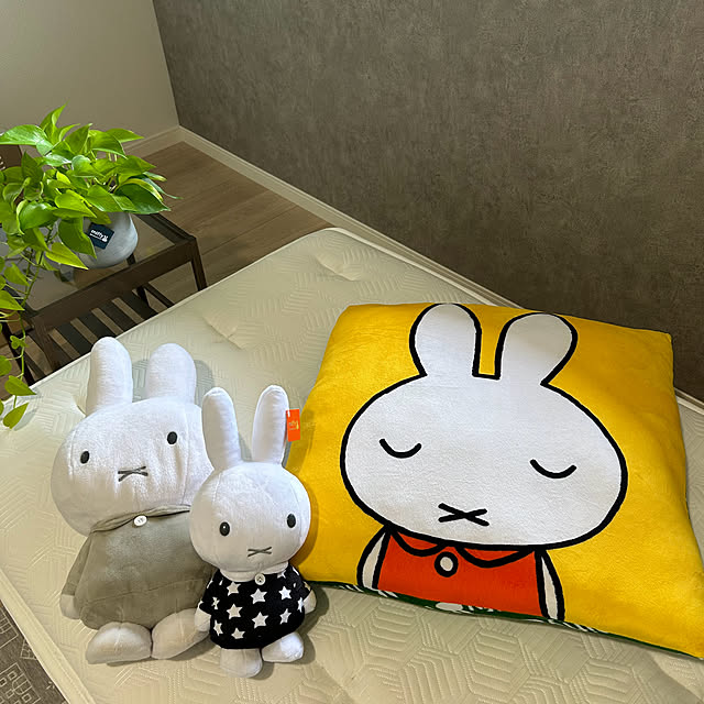 miffy.0044さんの実例写真