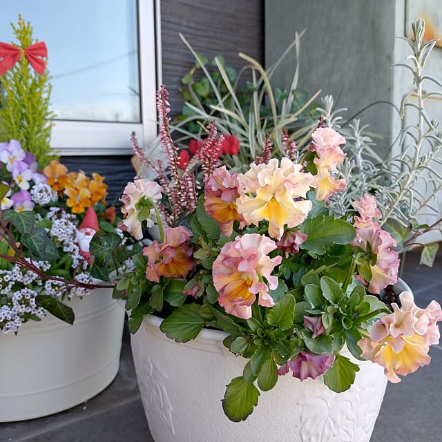 ri-eさんの実例写真