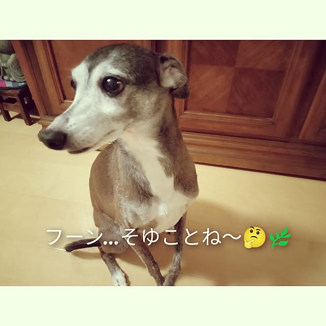 moruさんの部屋