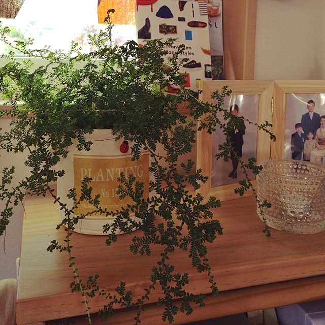 mamikkuさんの実例写真