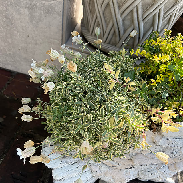 AYUKOさんの部屋