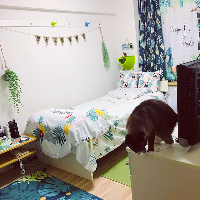 Liaさんの実例写真