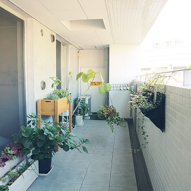 hanacocoさんの部屋