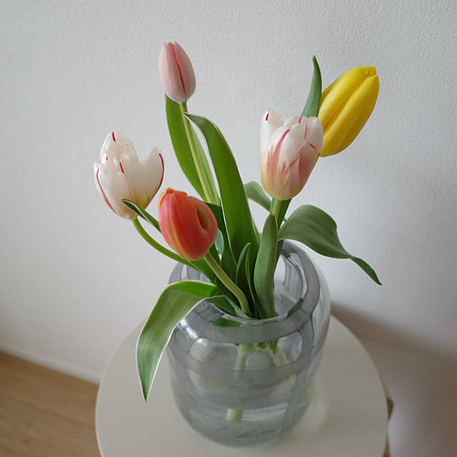 seven.hausさんの部屋