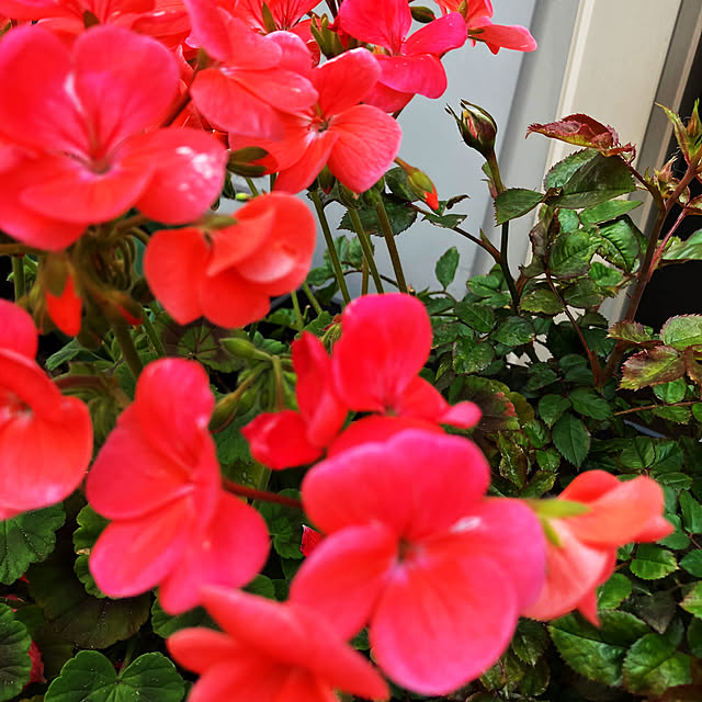 m0917mさんの部屋