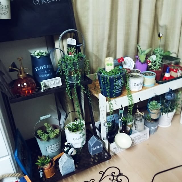 Koedaさんの実例写真
