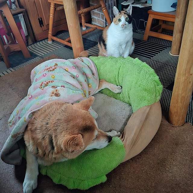 nanaさんの実例写真