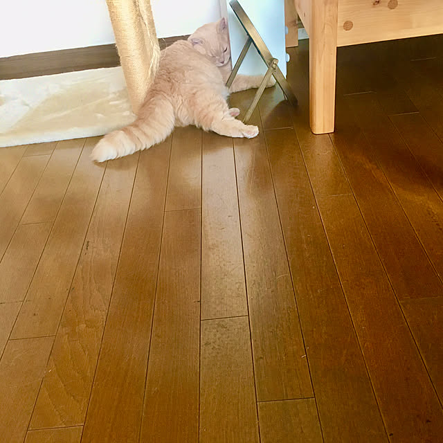 naokoさんの実例写真
