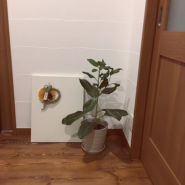 ieno__kotoさんの実例写真