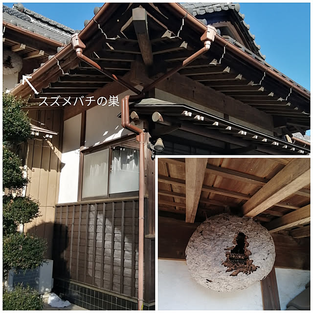 y.ebihara0811さんの実例写真