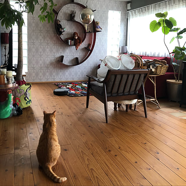 akaneさんの実例写真