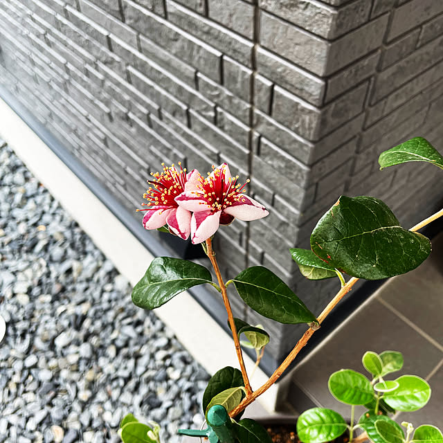 kooさんの部屋