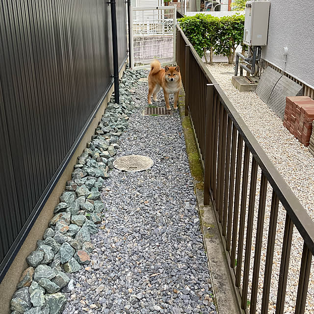 Shokoさんの実例写真
