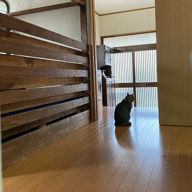 mikan161さんの実例写真