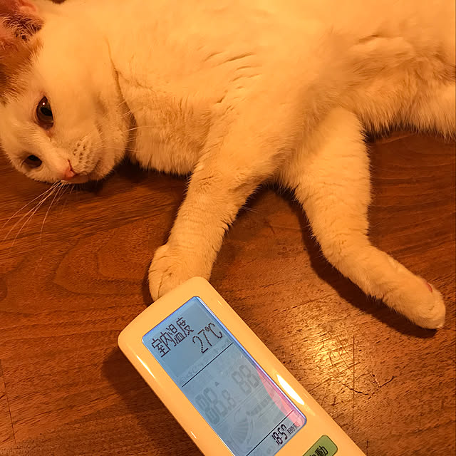 sakurasakuさんの実例写真