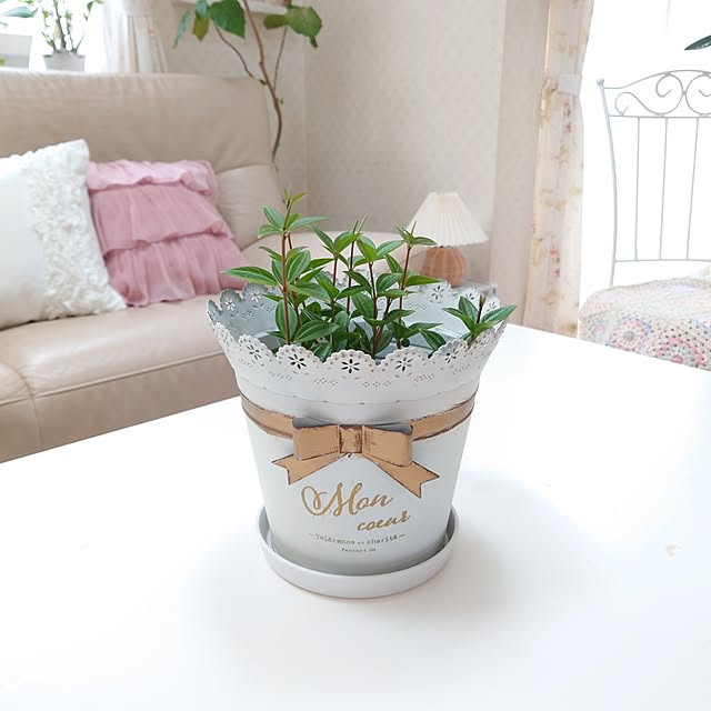 fleur-mamanさんの部屋