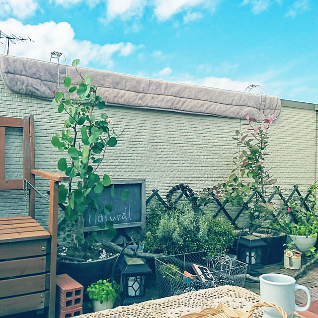 yokkoさんの実例写真