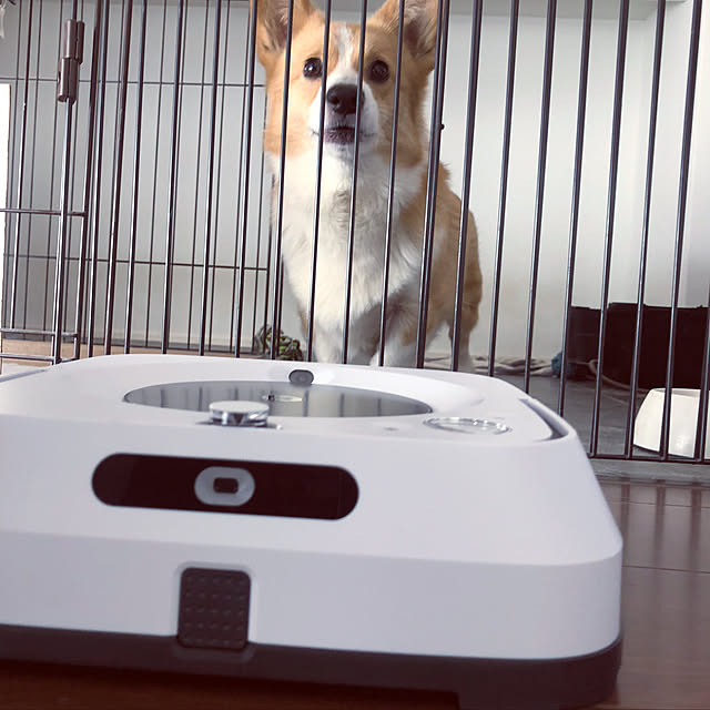 7chuna2さんの実例写真