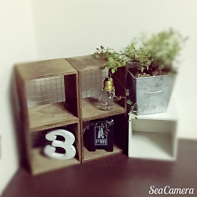 miwaさんの実例写真