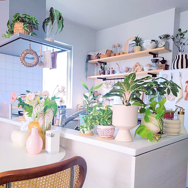 herorinさんの実例写真