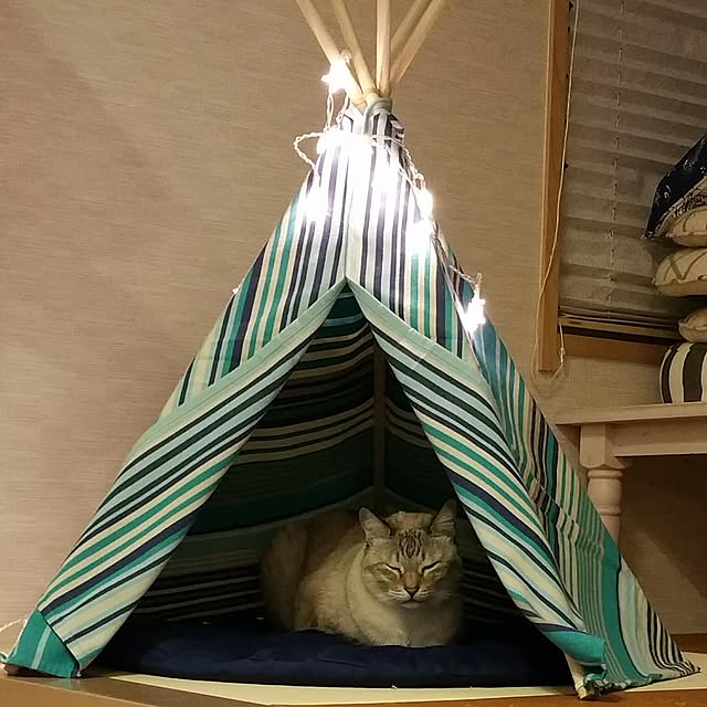 tomoppさんの実例写真