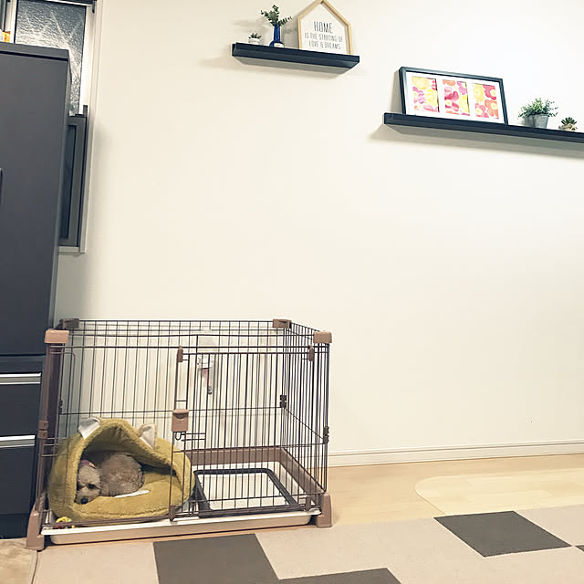 akiasaさんの実例写真