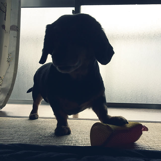 ohanaさんの実例写真