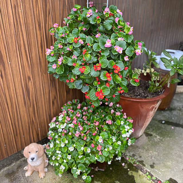 amiさんの実例写真