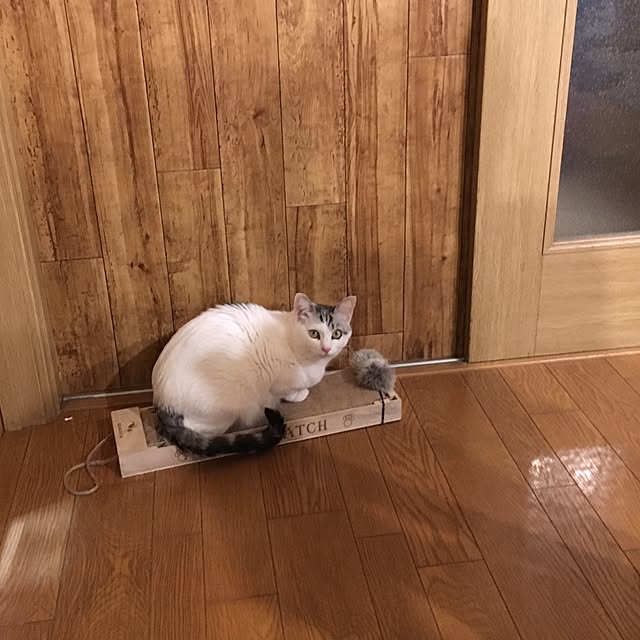 Miechamさんの実例写真