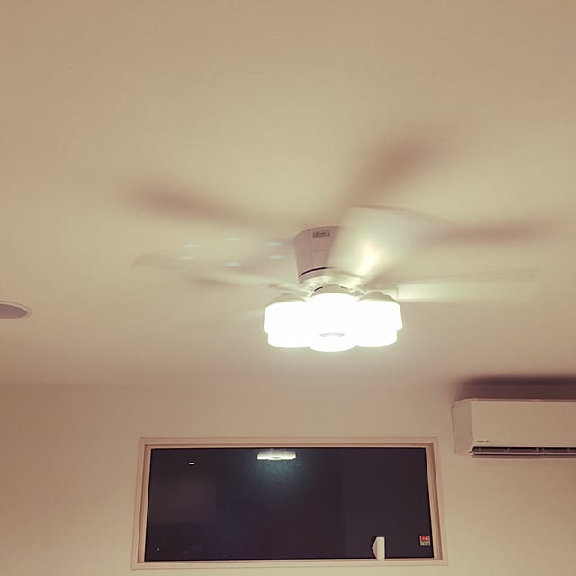 kokepapaさんの実例写真