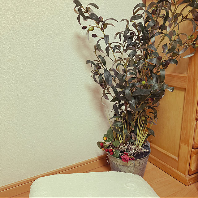 hisamanchanさんの実例写真