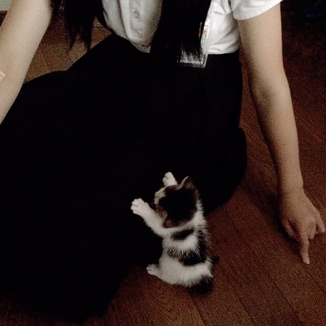 kayocoさんの実例写真