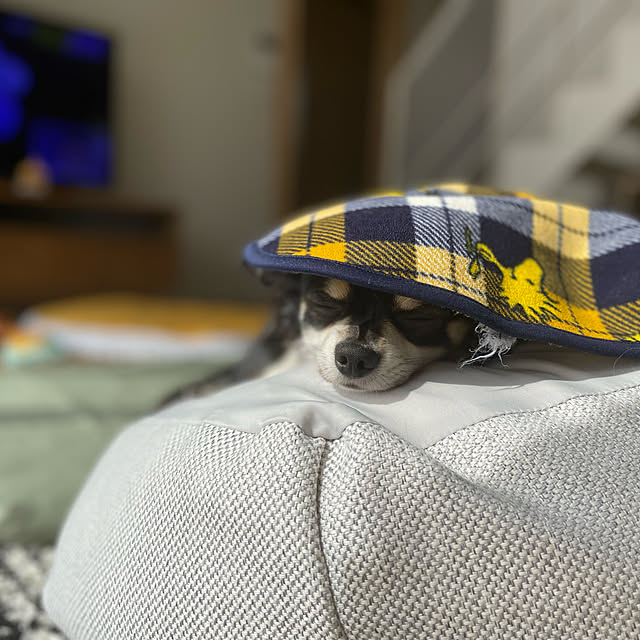 norimarukoさんの実例写真