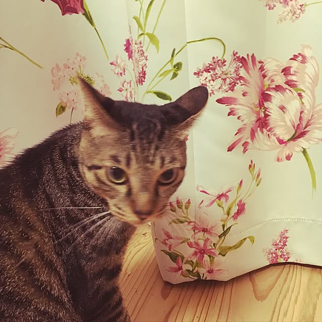 megumeguさんの実例写真
