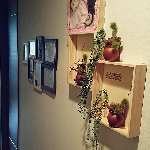Masamiさんの実例写真