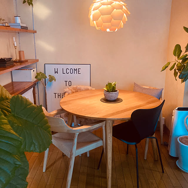 youさんの実例写真