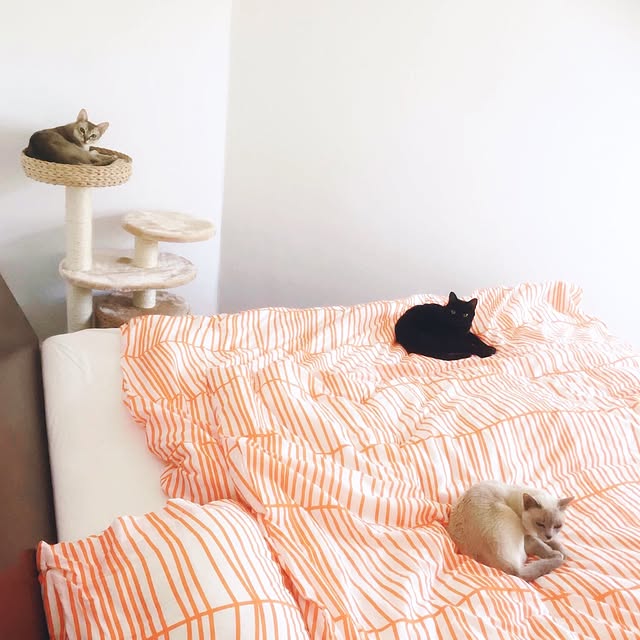 izon119さんの実例写真