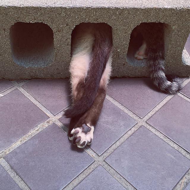 lさんの実例写真