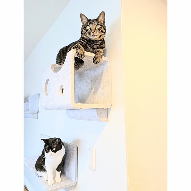 hihaさんの実例写真