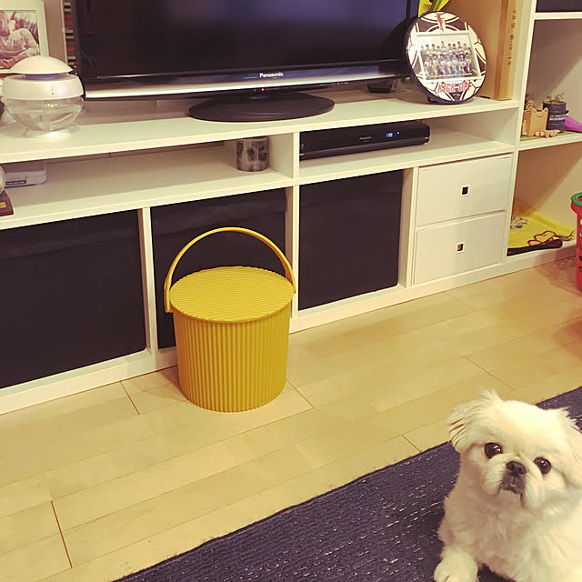 akisanさんの実例写真